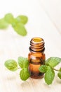 Fresh mint essential oil