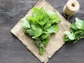 Fresh Mint Herb Bundle on Rustic Wooden Table Royalty Free Stock Photo