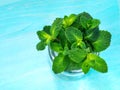 Fresh mint leaf on blue background Royalty Free Stock Photo