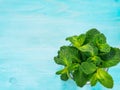 Fresh mint leaf close up on blue background Royalty Free Stock Photo