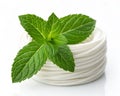 Fresh mint leaf for dental hygiene nature setting closeup image clean environment refreshing concept Royalty Free Stock Photo