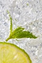Fresh mint leaf and a slice of lime with bubbles in a glass with ice. Macro photo of refreshing drink Royalty Free Stock Photo