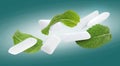 Fresh mint leaves and chewing gum pads flying on teal background Royalty Free Stock Photo