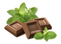 Fresh mint leaves and chocolate pieces isolated on white background Royalty Free Stock Photo