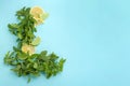 Fresh mint leaves and citrus fruit Royalty Free Stock Photo