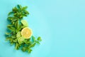 Fresh mint leaves and citrus fruit on color background Royalty Free Stock Photo