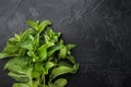 Fresh mint leaves herb, on black stone background, top view flat lay, with copy space for text Royalty Free Stock Photo