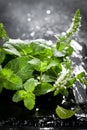 Fresh mint leaves herb on stone table. Top view with copy space. Royalty Free Stock Photo