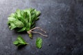 Fresh mint leaves herb on stone Royalty Free Stock Photo