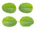 Fresh mint leaves, Peppermint isolated on white background Royalty Free Stock Photo