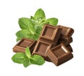 Fresh mint leaves and pile of chocolate pieces isolated on white background Royalty Free Stock Photo