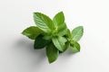 fresh mint leaves with real transparent shadow isolated on white background. Generative AI.