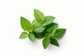 fresh mint leaves with real transparent shadow isolated on white background. Generative AI.