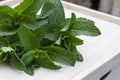 fresh mint leaves on rustic wood crate Royalty Free Stock Photo