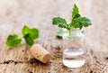 Mint oil Royalty Free Stock Photo