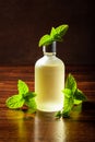 fresh mint Peppermint herb leaves essential oil in bottle Royalty Free Stock Photo