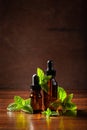 Fresh mint Peppermint herb leaves and essential oil in dropper bottles Royalty Free Stock Photo