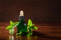 Fresh mint Peppermint herb leaves and essential oil in dropper bottles Royalty Free Stock Photo