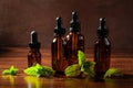 fresh mint Peppermint herb leaves essential oil in dropper bottles Royalty Free Stock Photo