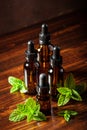 fresh mint Peppermint herb leaves essential oil in dropper bottles Royalty Free Stock Photo