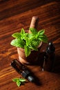 Fresh mint Peppermint herb leaves in mortar and essential oil in dropper bottles Royalty Free Stock Photo