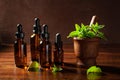 Fresh mint Peppermint herb leaves in mortar and essential oil in dropper bottles Royalty Free Stock Photo