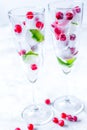 Mint and red berries in ice cubes in glasses white background Royalty Free Stock Photo