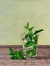 Fresh mint tea served in a glass