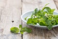 Fresh mint in white dish.