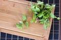 Fresh mint in a wooden brown bowl on the table Royalty Free Stock Photo