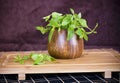 Fresh mint in a wooden brown bowl on the table Royalty Free Stock Photo