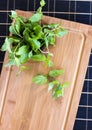 Fresh mint in a wooden brown bowl on the table Royalty Free Stock Photo