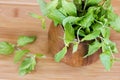 Fresh mint in a wooden brown bowl on the table Royalty Free Stock Photo