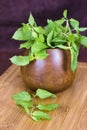 Fresh mint in a wooden brown bowl on the table Royalty Free Stock Photo