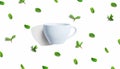 Fresh mints with tea cup overhead view Royalty Free Stock Photo