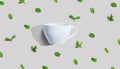 Fresh mints with tea cup overhead view Royalty Free Stock Photo