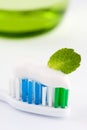 Fresh Minty Toothbrush Royalty Free Stock Photo