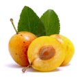 Fresh mirabelle Royalty Free Stock Photo