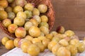 Fresh mirabelles with basket