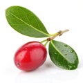 Fresh miracle berry isolated on transparent background Royalty Free Stock Photo