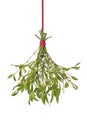 Fresh mistletoe hanging on a red ribbon