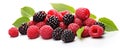 Fresh mix of raspberries, blackberries, and green leaves on white background Royalty Free Stock Photo