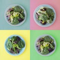 Collage of fresh mixed green salad in round plate, colorful background. Healthy food, diet concept. Top view, square image