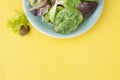 Fresh mixed green salad in round plate, colorful yellow background. Healthy food, diet concept. Top view, copy space Royalty Free Stock Photo