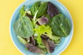 Fresh mixed green salad in round plate, colorful yellow background. Healthy food, diet concept. Top view, copy space Royalty Free Stock Photo