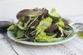 Fresh mixed green salad in round plate, rustic white wooden background. Healthy food, diet concept Royalty Free Stock Photo