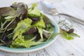 Fresh mixed green salad in round plate, rustic white wooden background. Healthy food, diet concept Royalty Free Stock Photo