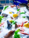 Fresh mixed raw fish and red prawns in ice with lemon and lettuce leaves Royalty Free Stock Photo