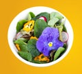 Fresh mixed salad flower and nasturtium leaves Royalty Free Stock Photo