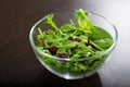 A fresh mixed salad on a wooden table. A notion of a useful and healthy meals Royalty Free Stock Photo